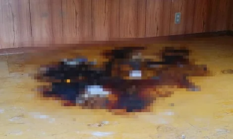 特殊清掃・遺品整理の様子