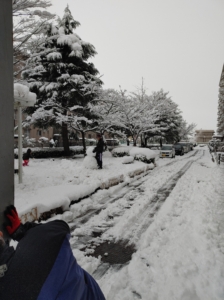 ２日目の朝の様子　雪