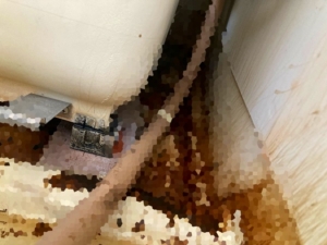 体液が広がった溝