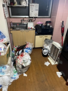 ゴミ屋敷キッチン片付け前