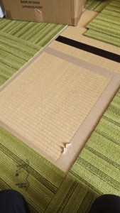 畳の上にガムテープで直接貼ってありました。