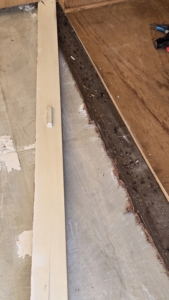 クローゼットの床下　ハエが大量