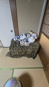 和室　移動の物